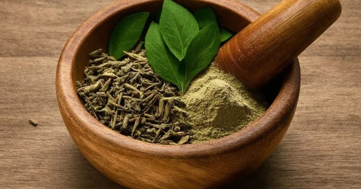 ദാഡിമ ത്വക് — ആയുർവേദ ഔഷധം