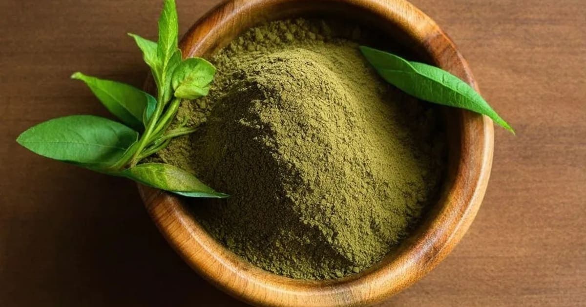 धतूरा — आयुर्वेदिक जड़ी-बूटी