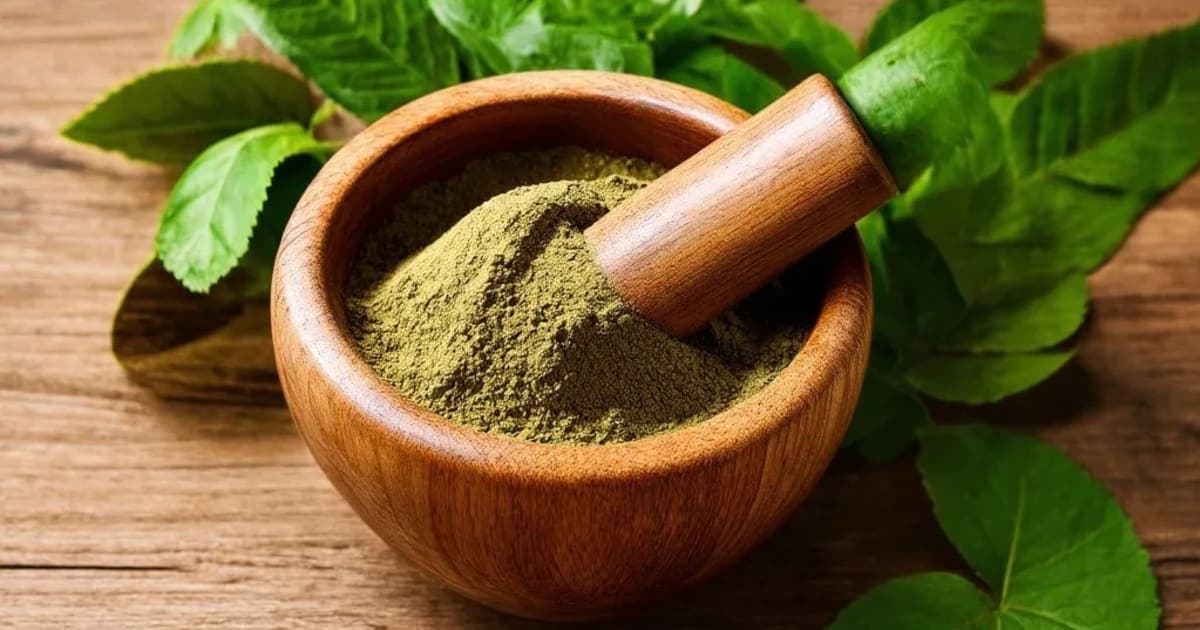 বিদার্যাদি ঘৃত — আয়ুর্বেদিক ভেষজ