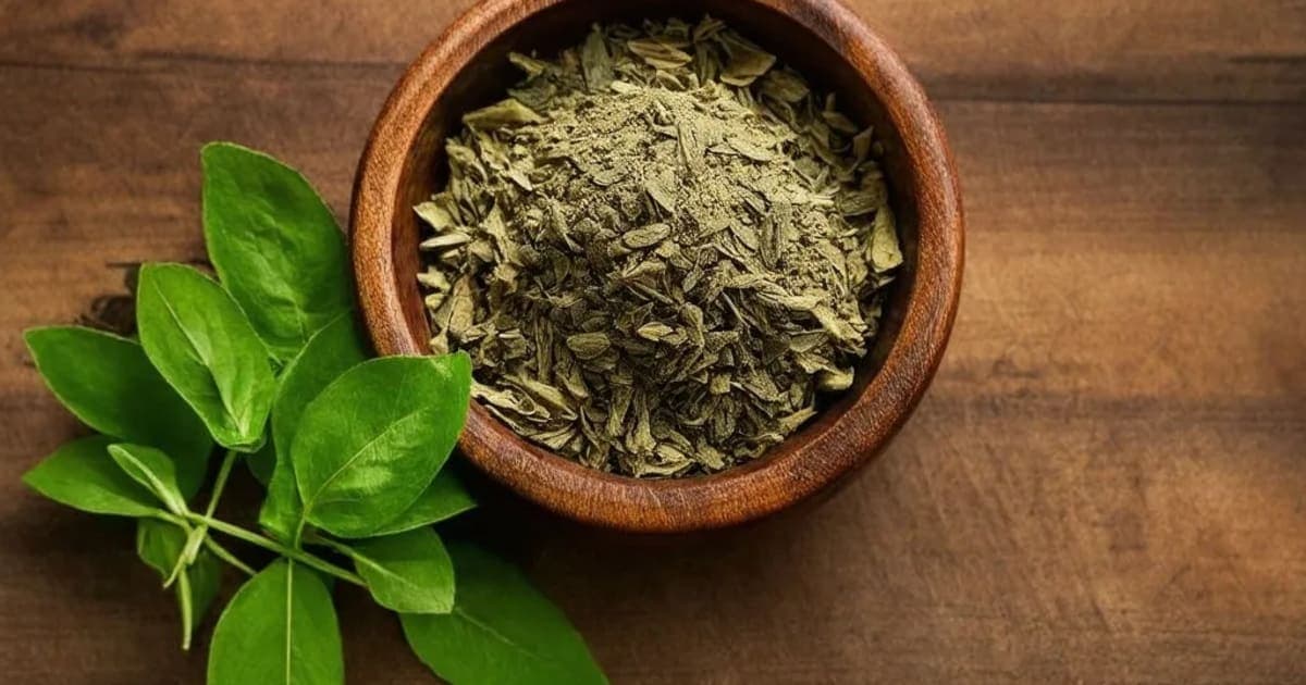 Koshamra — Ayurvedic Herb
