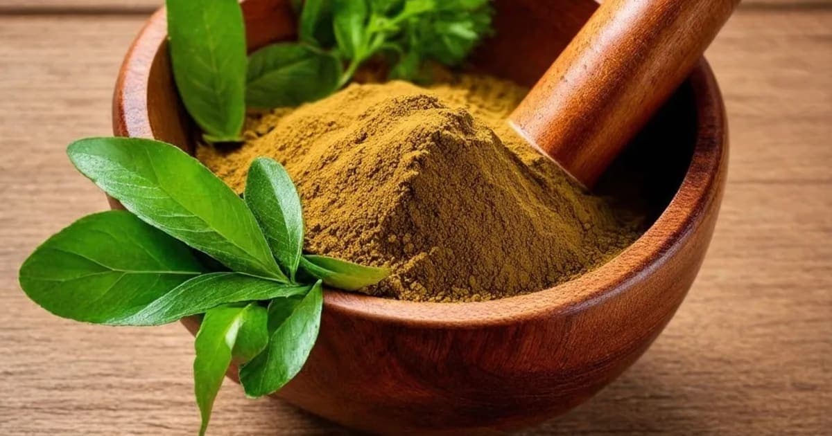 Pinda Thailam — Ayurvedic Herb