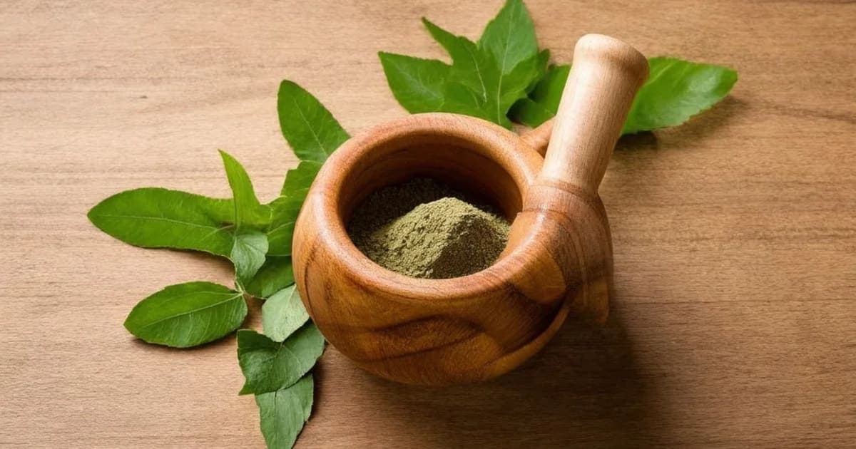 Tapyadi Loha — Ayurvedic Herb