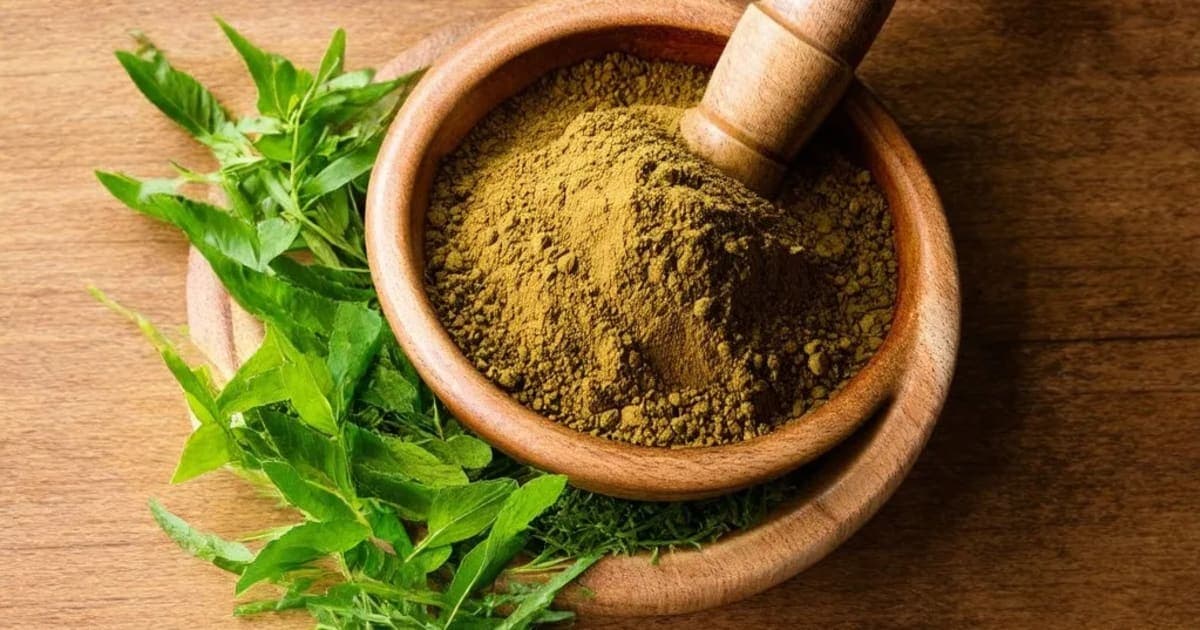 Bhumi Jambuka — Ayurvedic Herb