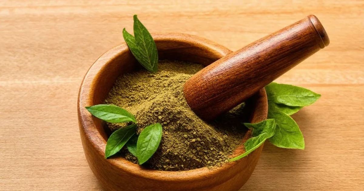 Ushira — Ayurvedic Herb