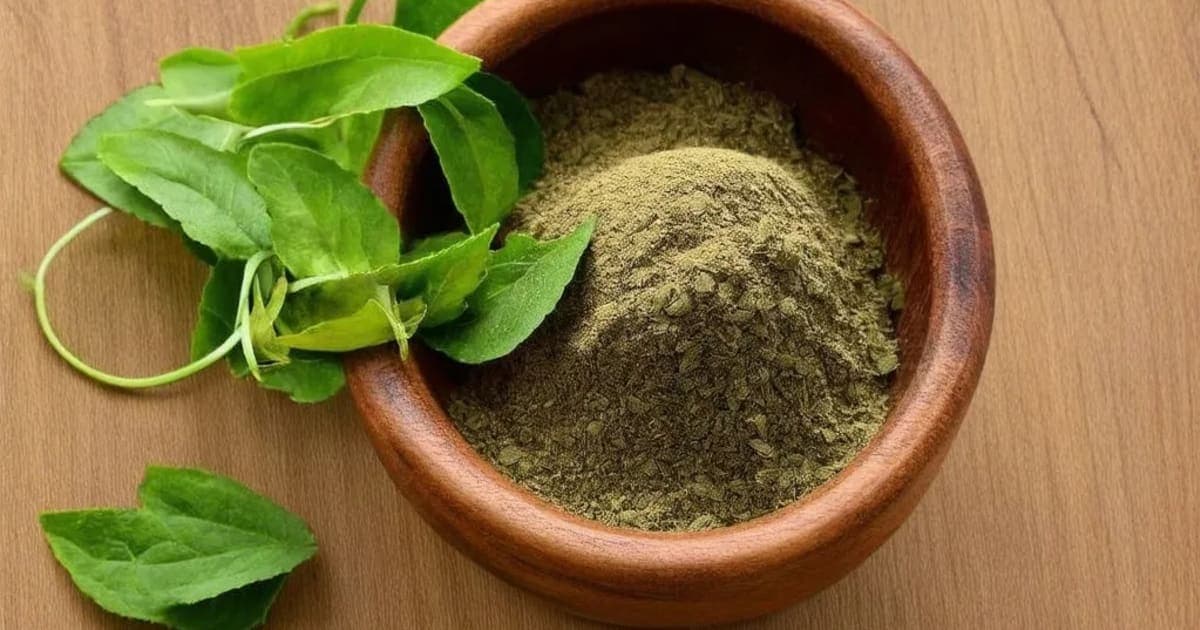 Khadira — Ayurvedic Herb