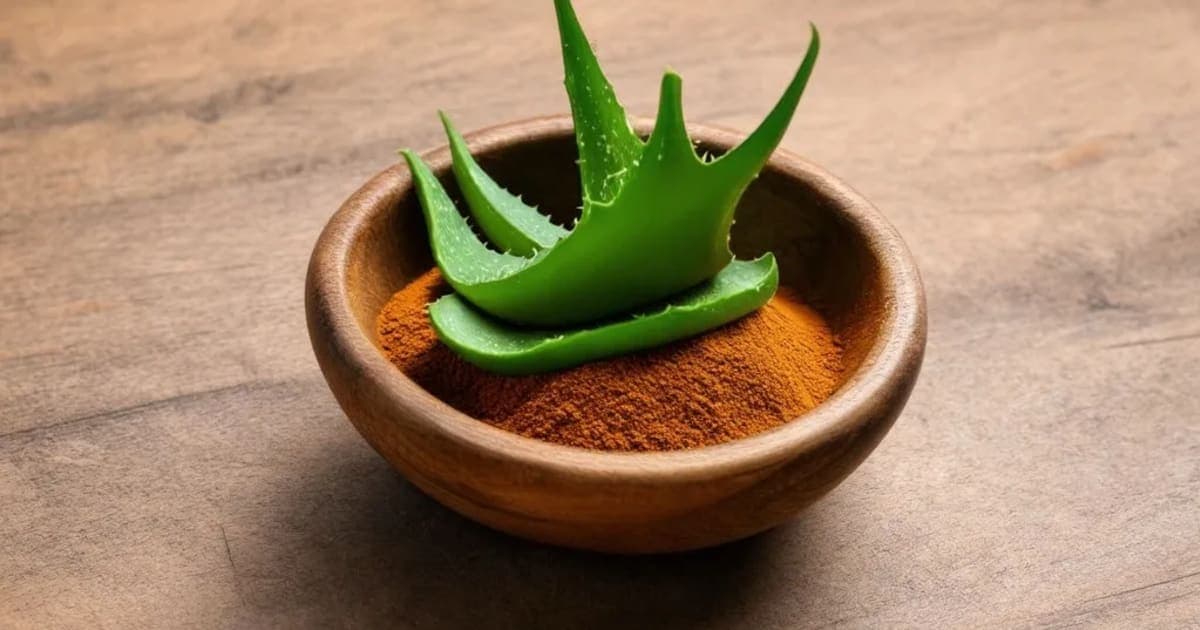 Kumari (Aloe Vera) — Ayurvedic Herb