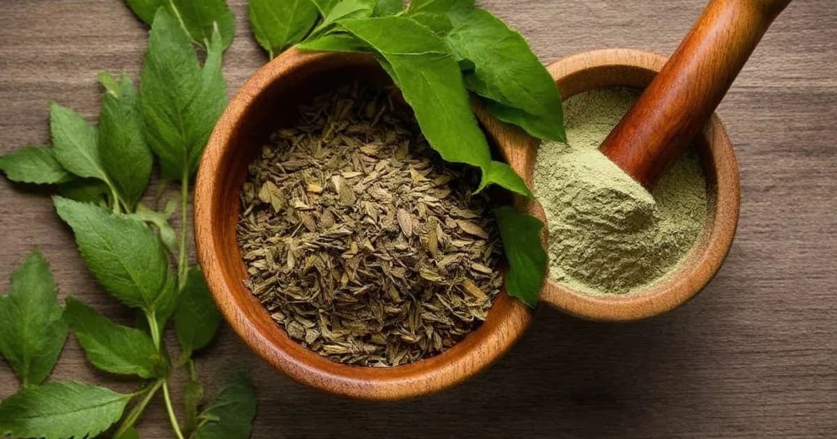 Karira — Ayurvedic Herb