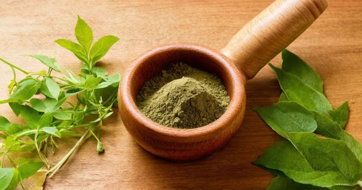 Kapikachhu — Ayurvedic Herb