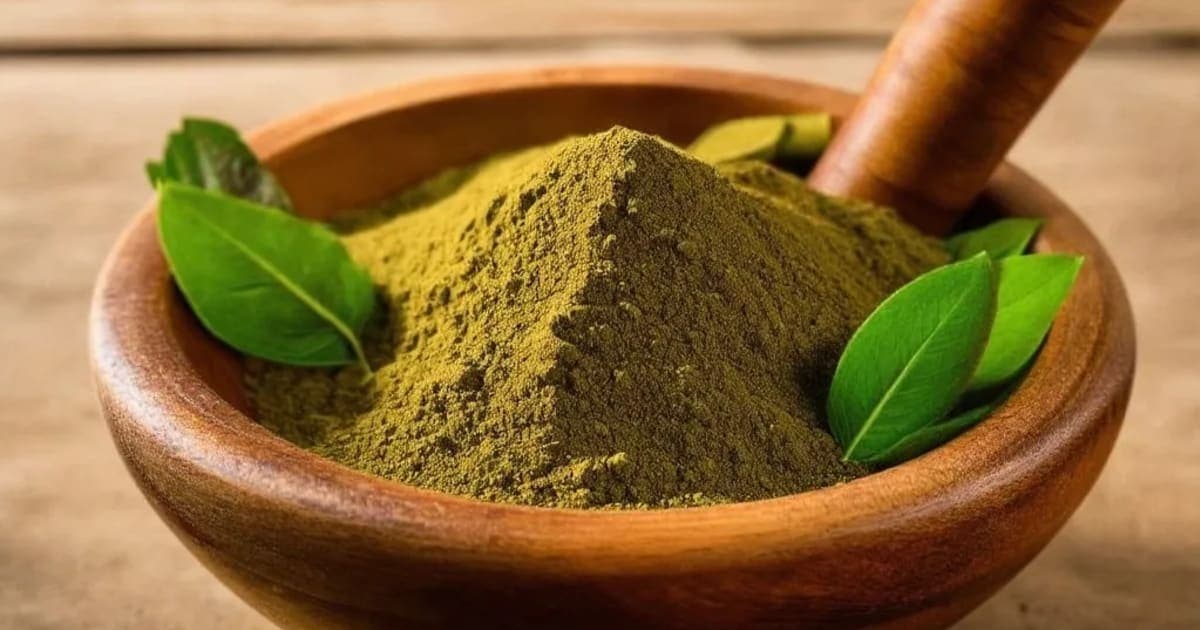 Shigru — Ayurvedic Herb