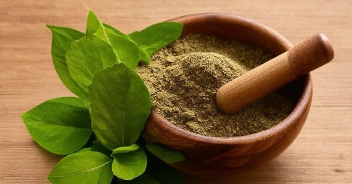 Rasona Patra — Ayurvedic Herb