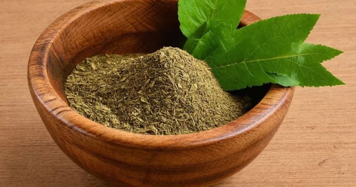 Jatyadi Ghrita — Ayurvedic Herb