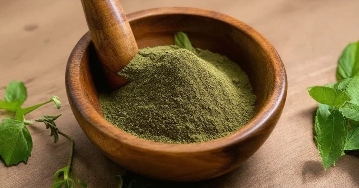 Nagadanti Benefits — Ayurvedic Herb