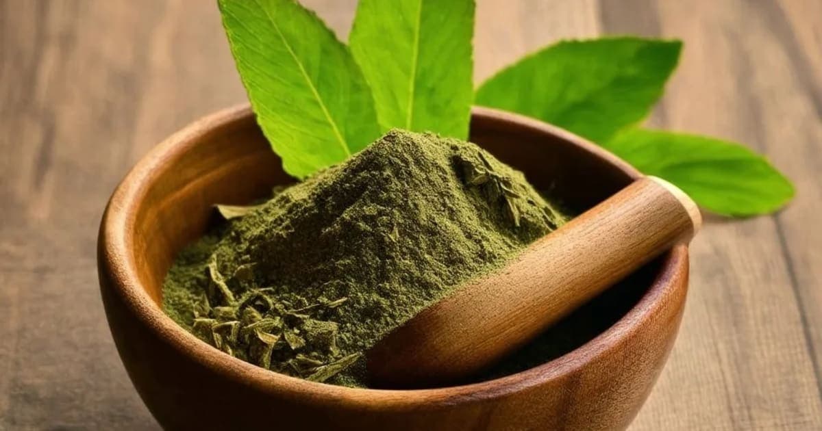 Sariva — Ayurvedic Herb