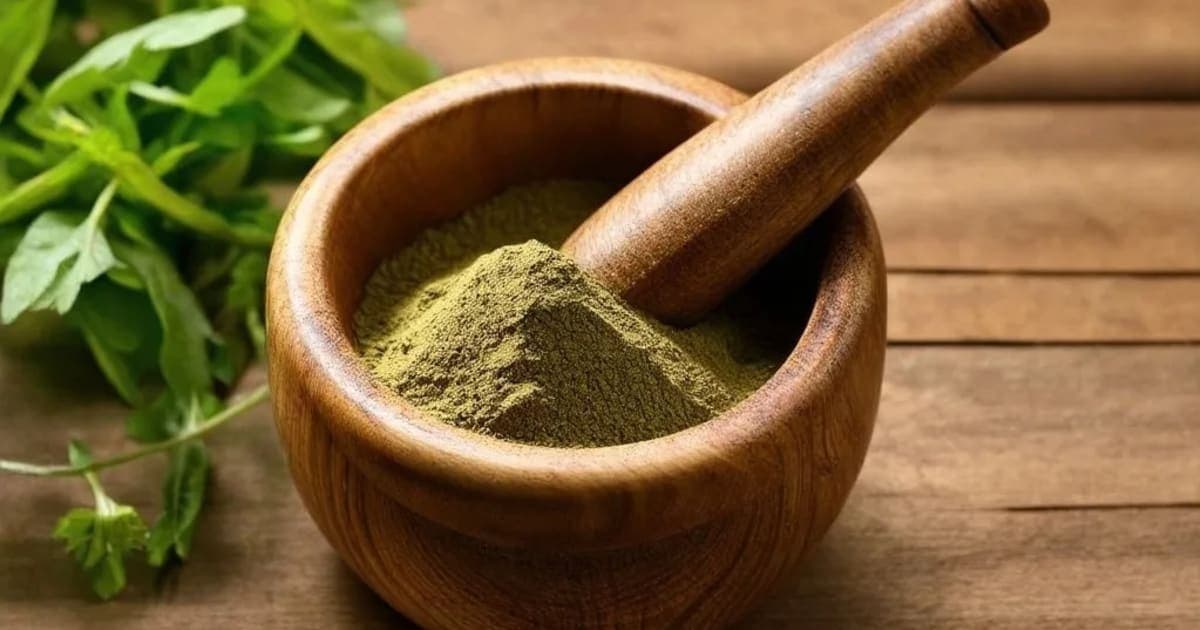 Vrikshamla — Ayurvedic Herb