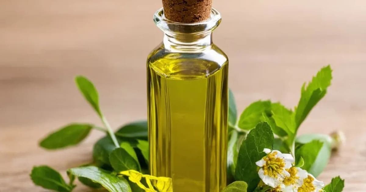 Murivenna — Ayurvedic Herb