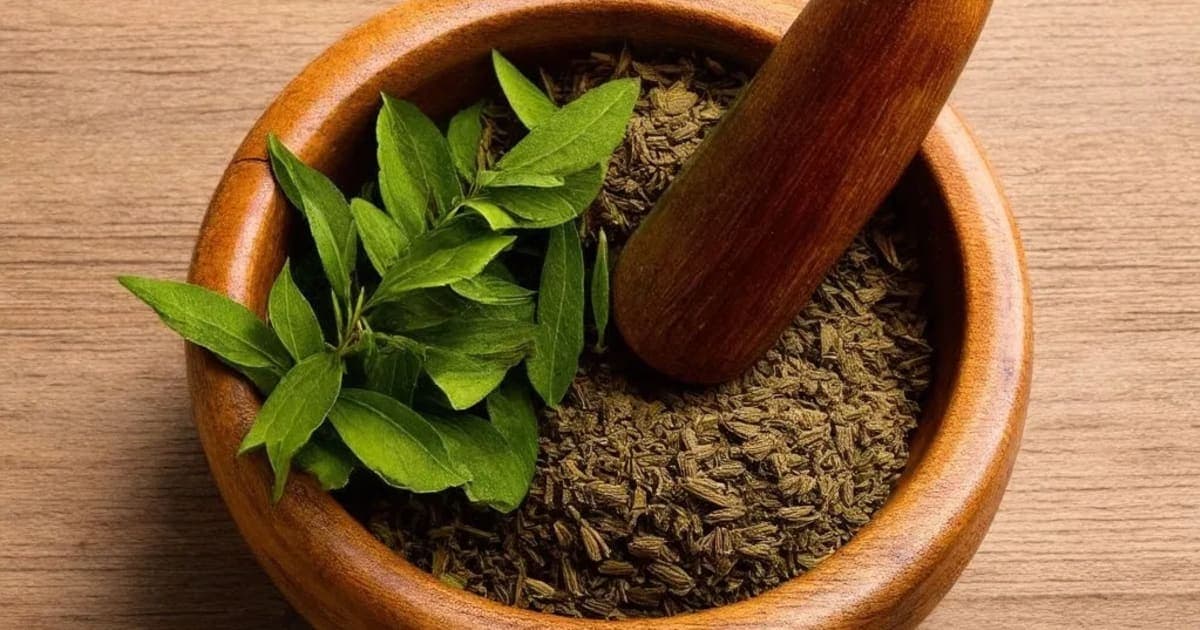 Shankhini — Ayurvedic Herb