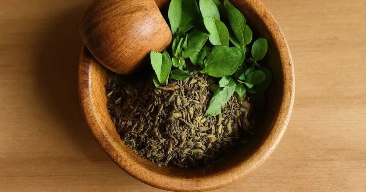 Vetasa (Salix caprea) — Ayurvedic Herb