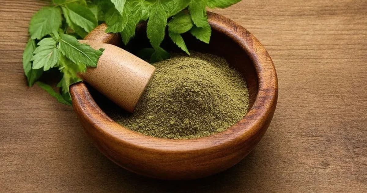 Paribhadra — Ayurvedic Herb