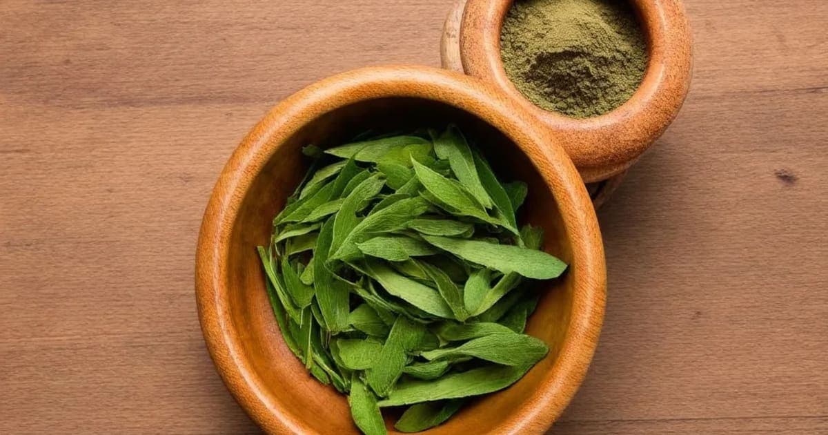 Danti — Ayurvedic Herb