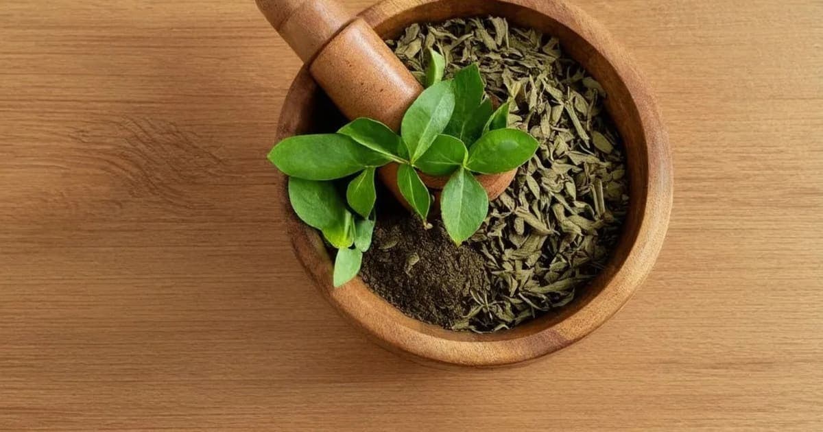 Varahikanda — Ayurvedic Herb