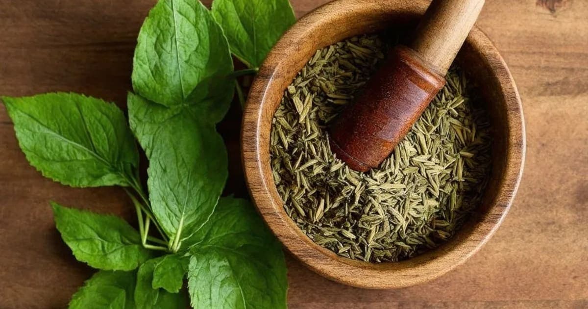 ಪಂಚಾಮೃತ ಪರ್ಪಟಿ — ಆಯುರ್ವೇದ ಮೂಲಿಕೆ