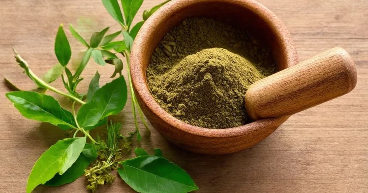 ಮಹಾತಿಕ್ತಕ ಘೃತ — ಆಯುರ್ವೇದ ಮೂಲಿಕೆ