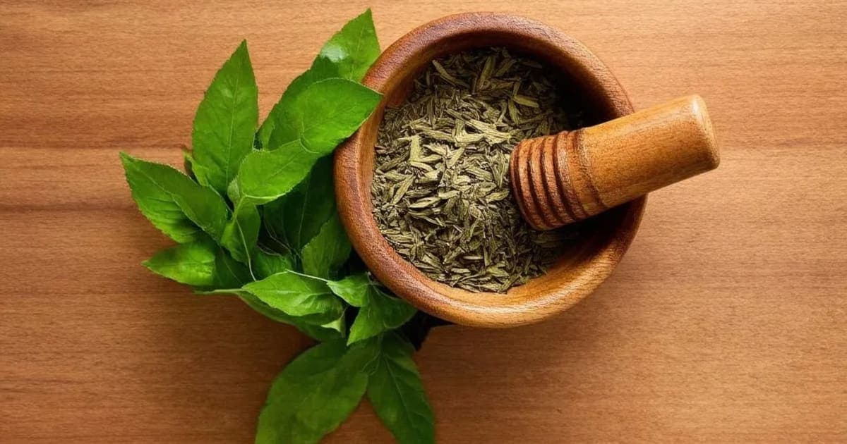 Bhanga — आयुर्वेदिक जड़ी-बूटी