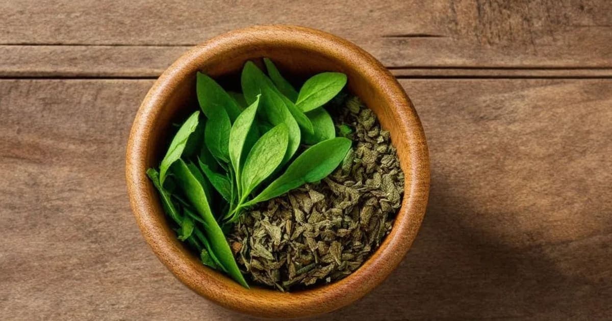 જપા (હિબિસ્કસ) — આયુર્વેદિક જડીબુટ્ટી