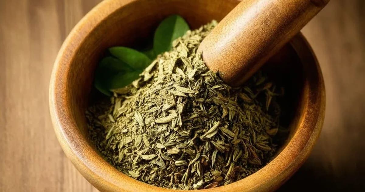 मेदसक (Litsea glutinosa) — आयुर्वेदिक जड़ी-बूटी