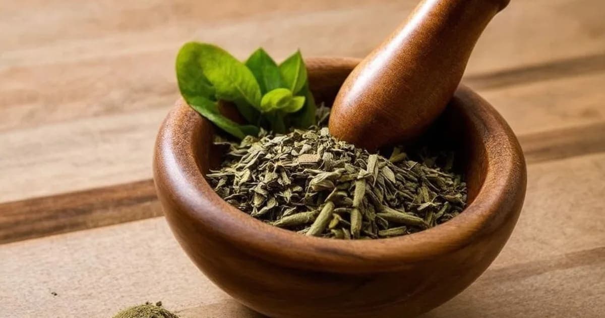 నాగబాల — ఆయుర్వేద మూలిక