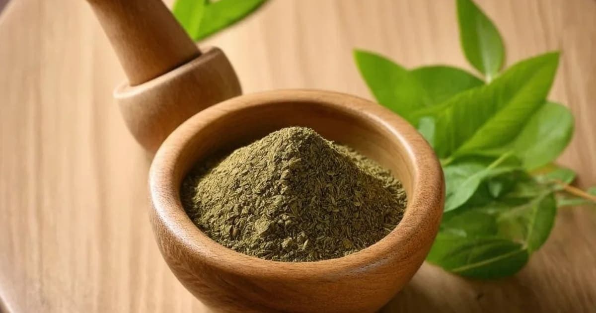 ബബ്ബുല (Acacia nilotica) — ആയുർവേദ ഔഷധം