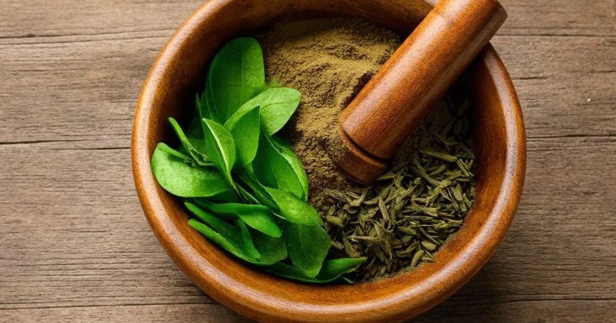 പുത്രഞ്ജീവക (Putranjivaka) — ആയുർവേദ ഔഷധം