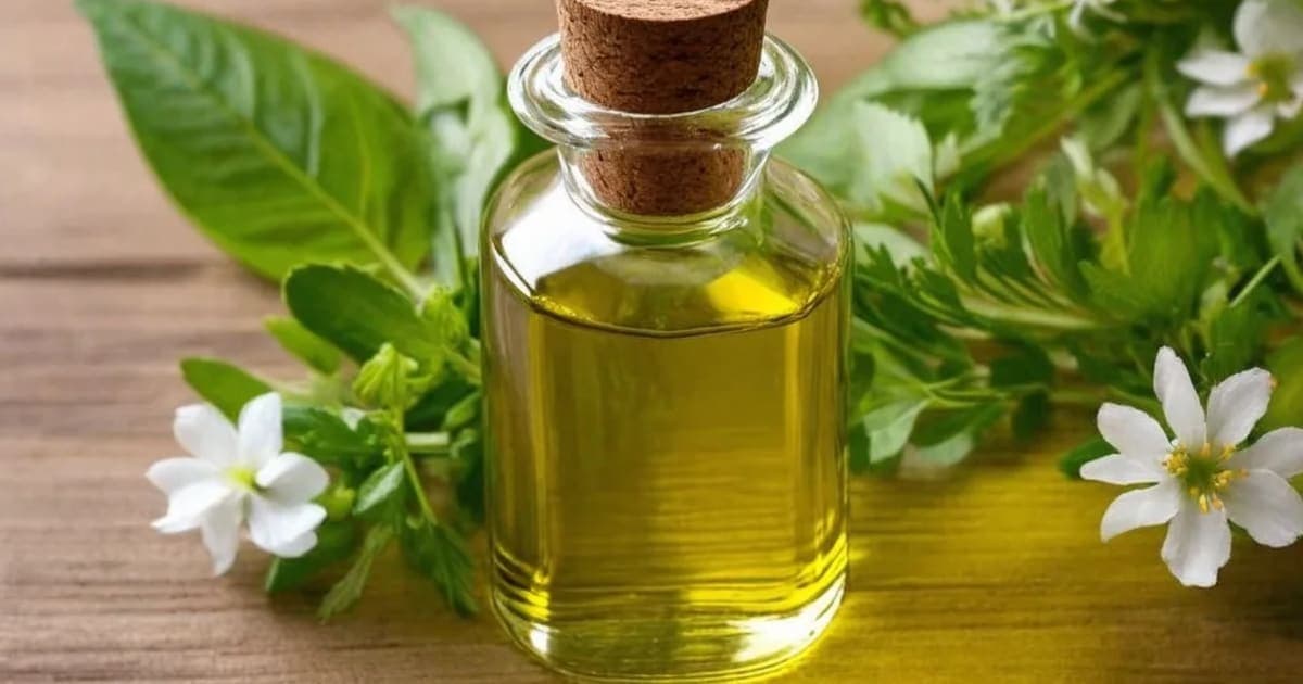 జాత్యది తైలం ప్రయోజనాలు — ఆయుర్వేద మూలిక