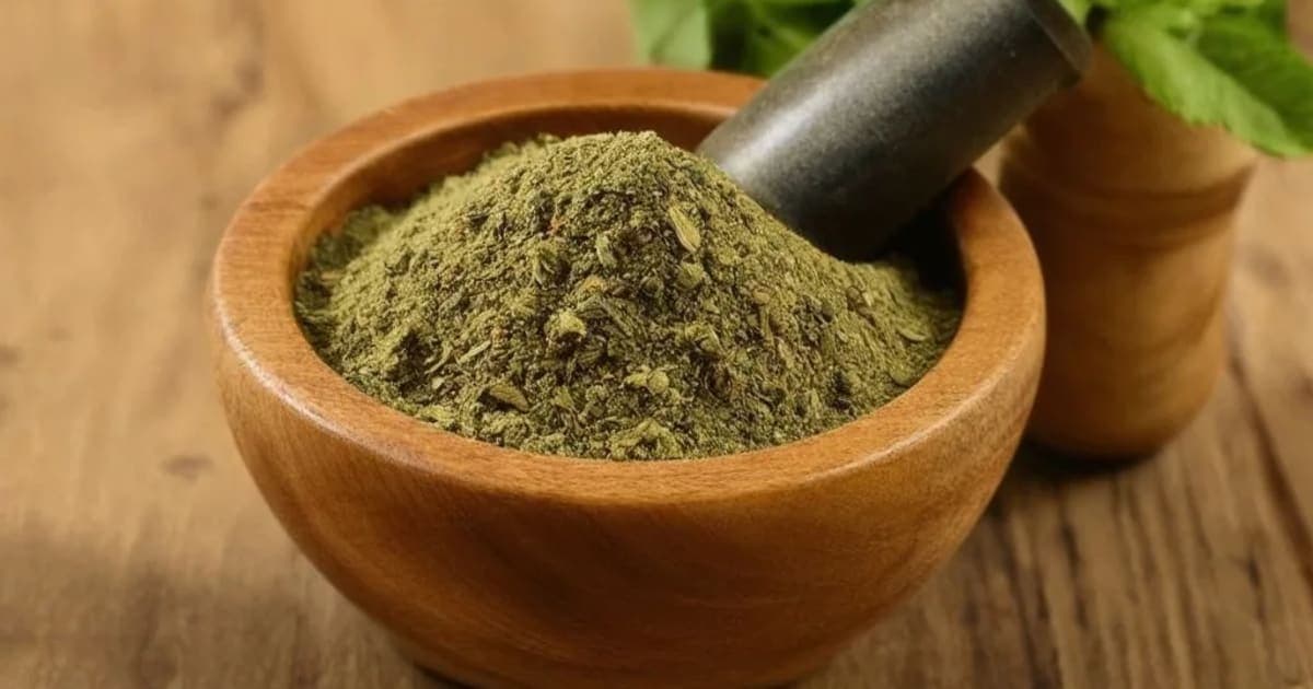 Shaka (Teak) — आयुर्वेदिक जड़ी-बूटी