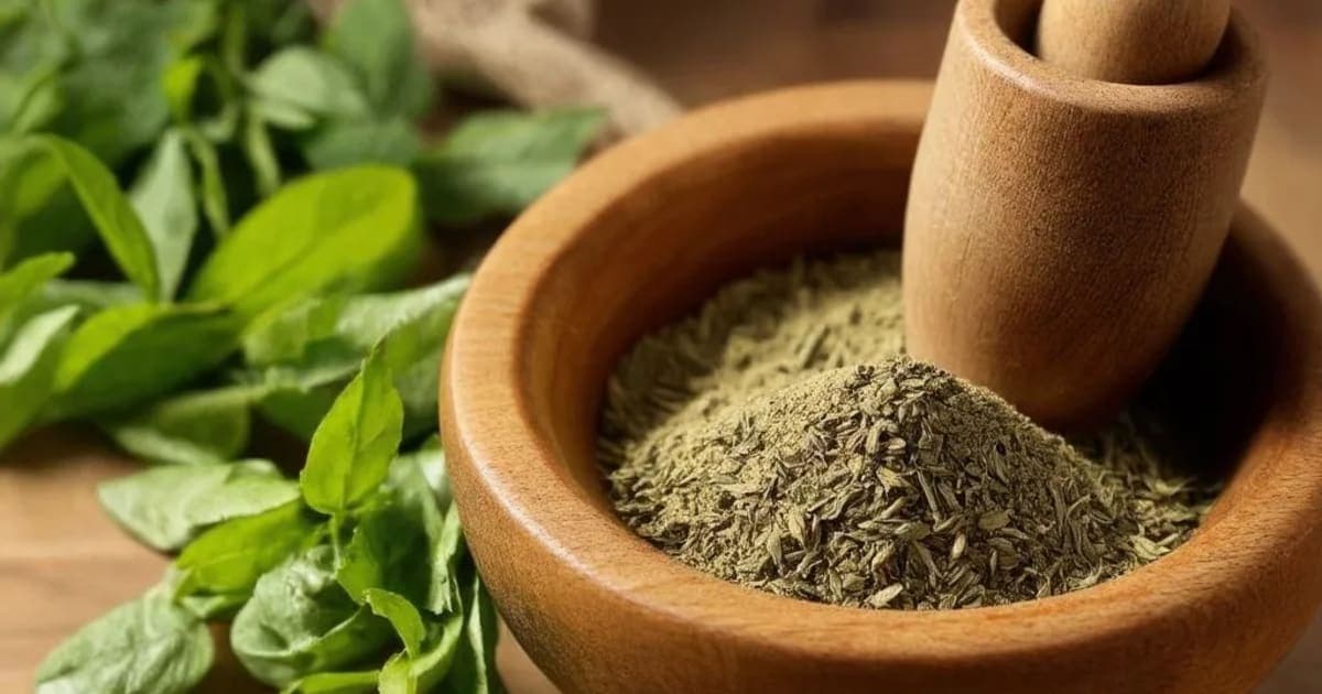 किराततिक्ता — आयुर्वेदिक वनस्पती