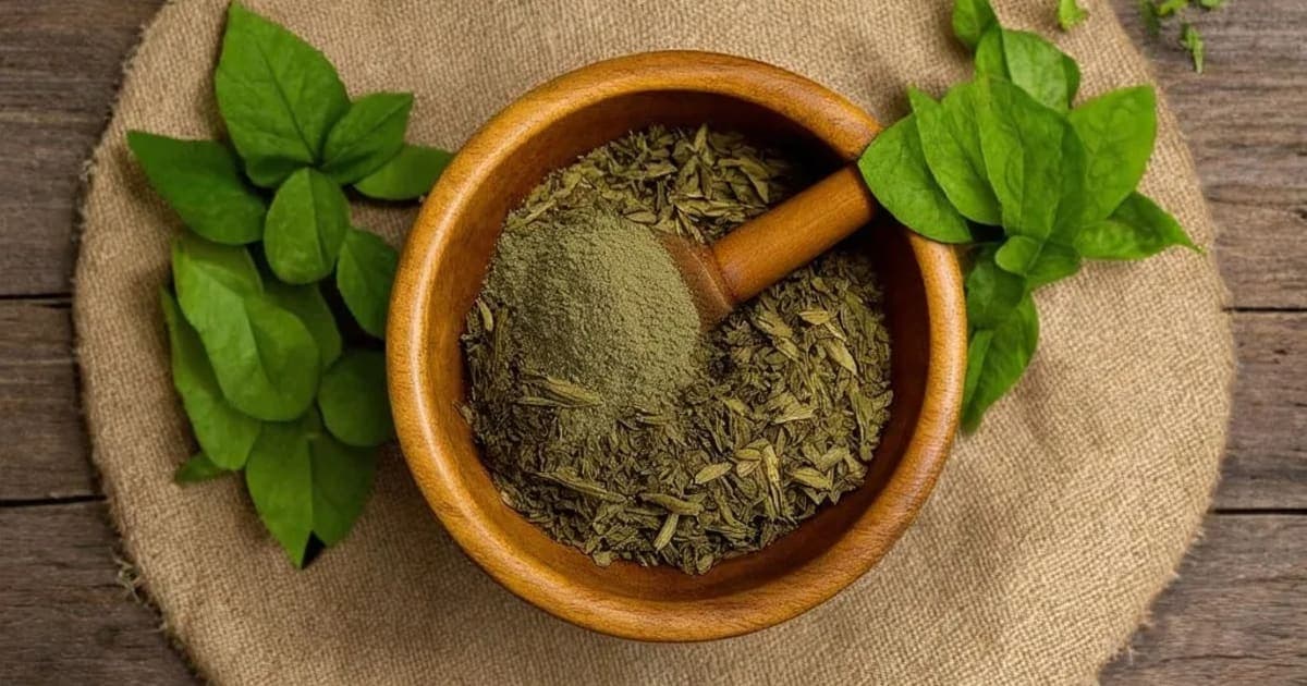 Sarpagandha — Ayurvedic Herb