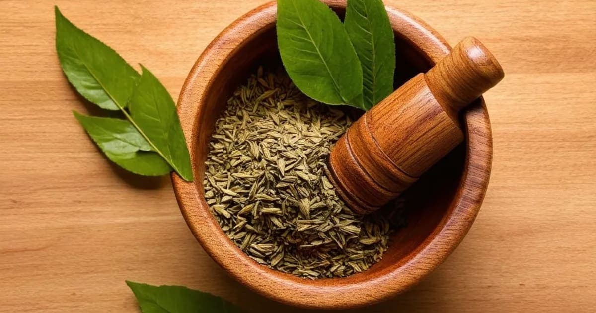Agnikarna — Ayurvedic Herb