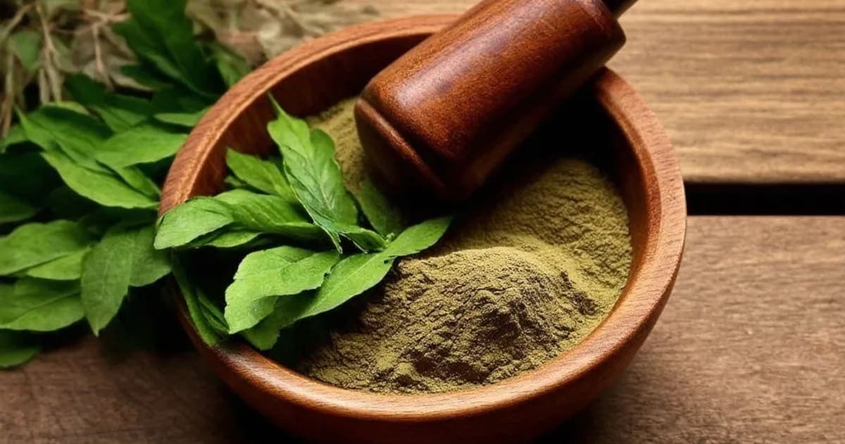 Ajamoda Arka — Ayurvedic Herb