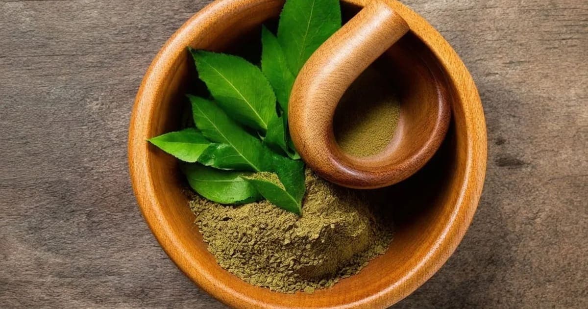 Gandhaka — Ayurvedic Herb