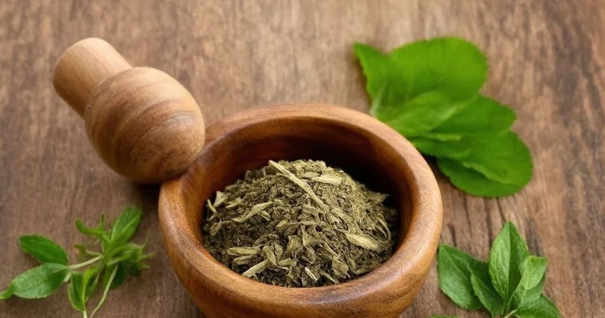 Kushmanda — Ayurvedic Herb