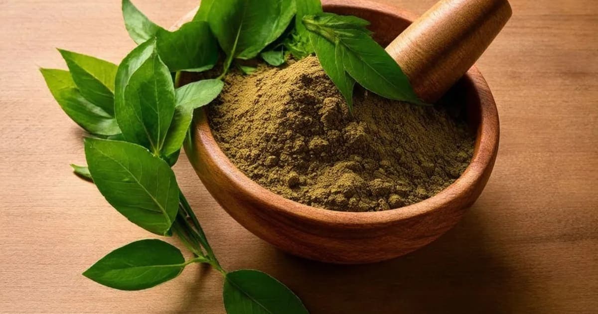 Suranjana — Ayurvedic Herb