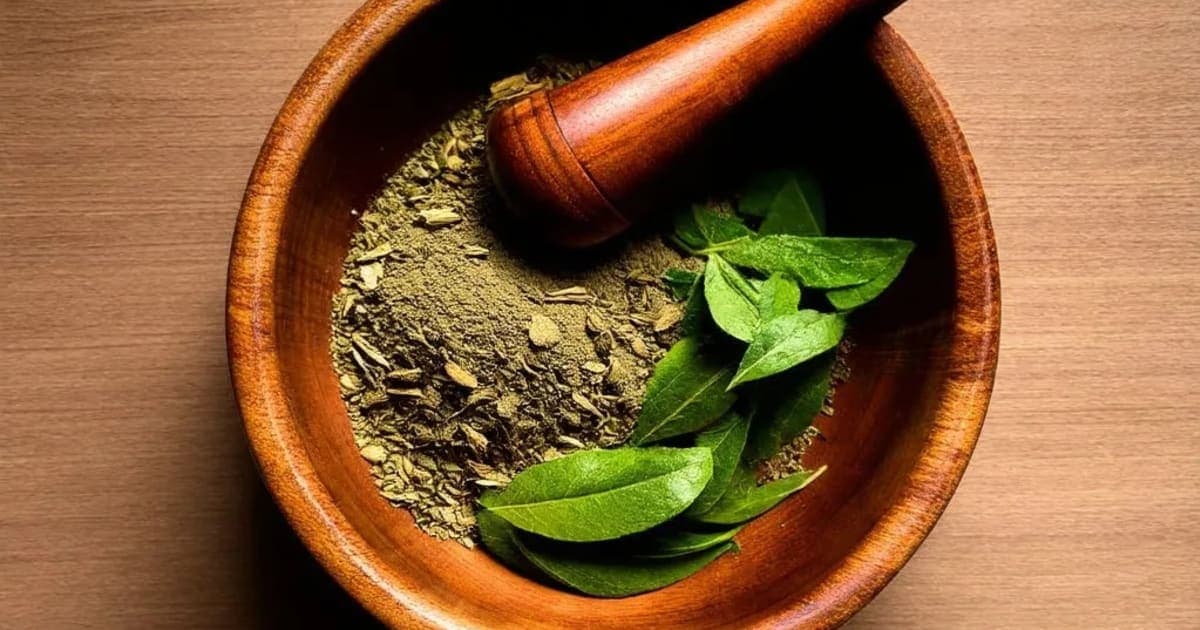 Shirisha — Ayurvedic Herb