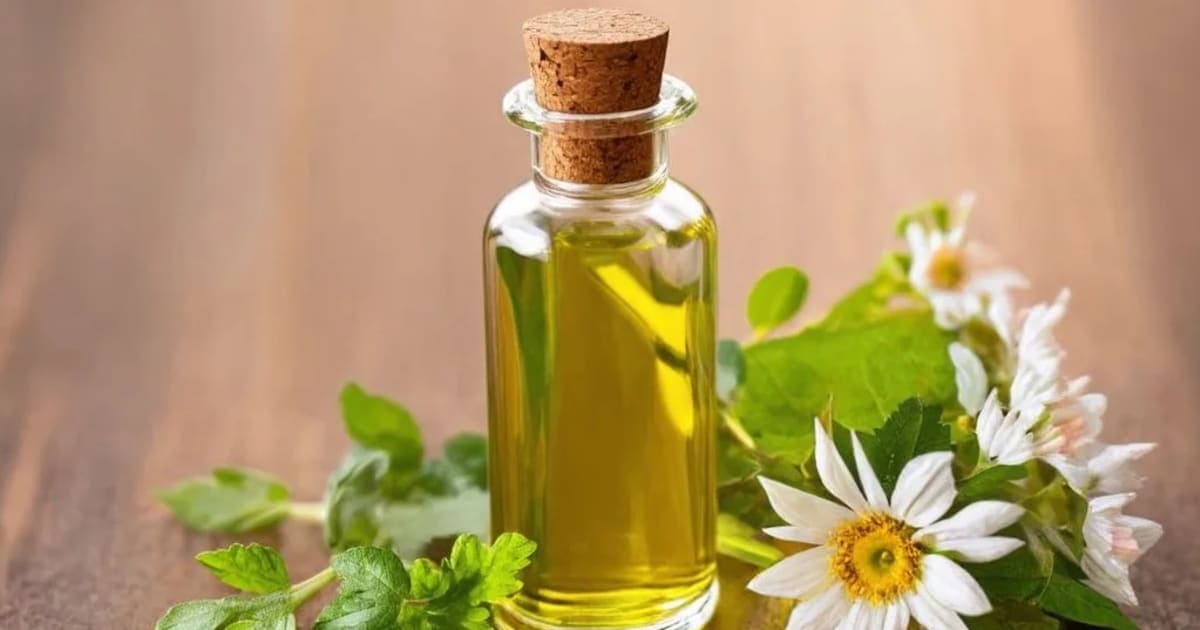 Karanja Taila — Ayurvedic Herb