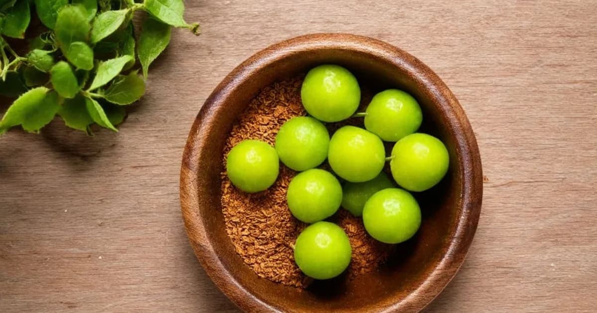 Amla — Ayurvedic Herb