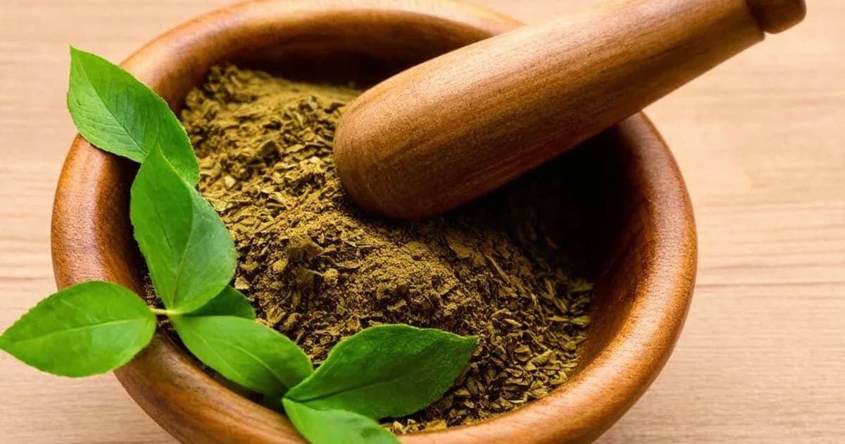 Simhamoola — Ayurvedic Herb