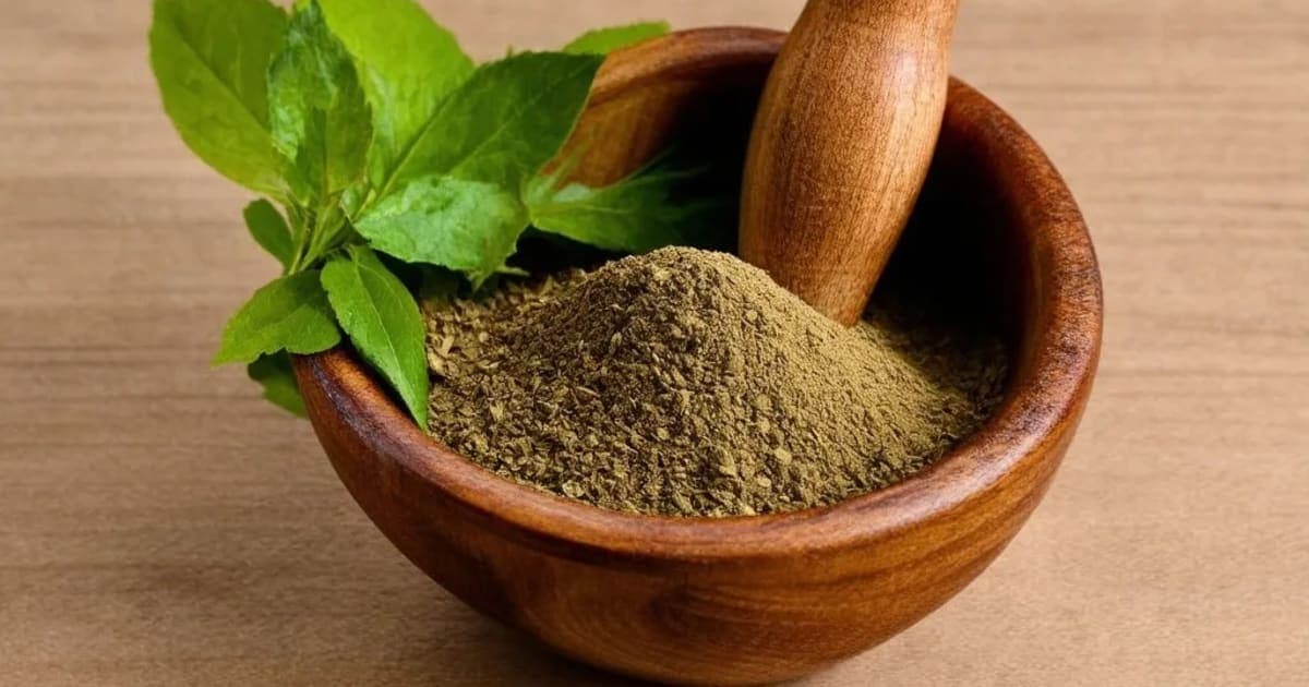 Kakajangha — Ayurvedic Herb