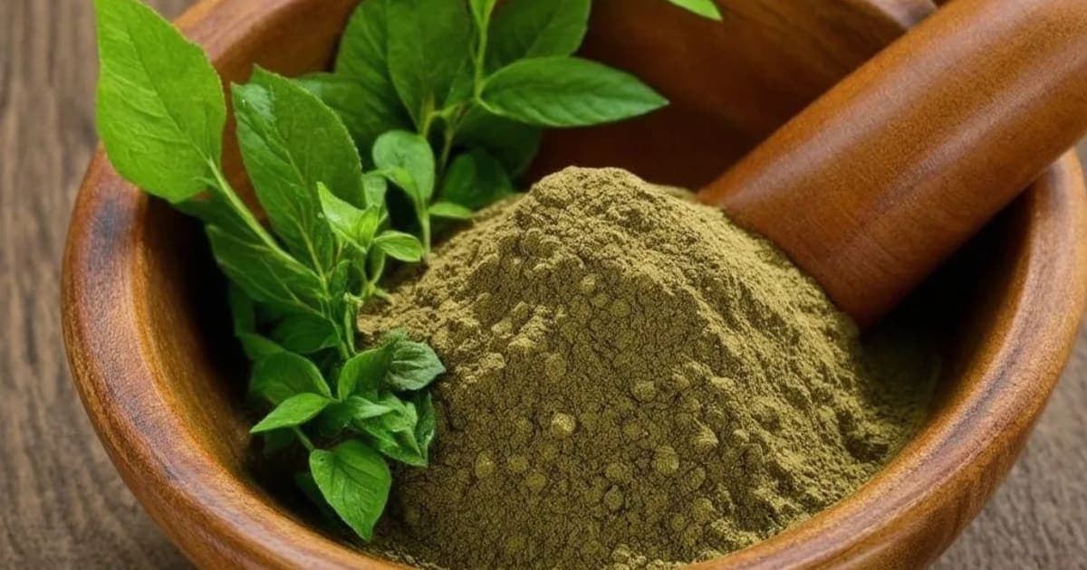 Vriddhi — Ayurvedic Herb