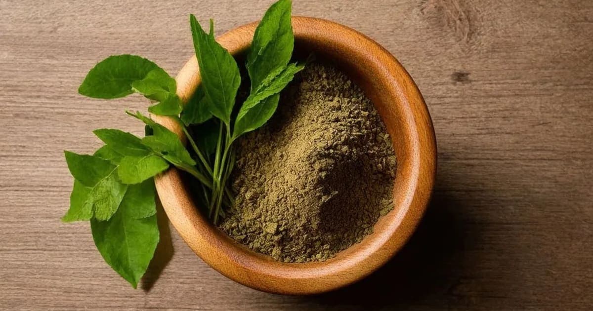 Gavedhuka — Ayurvedic Herb
