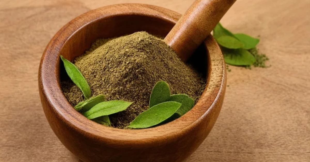 Panasa (Jackfruit) — Ayurvedic Herb