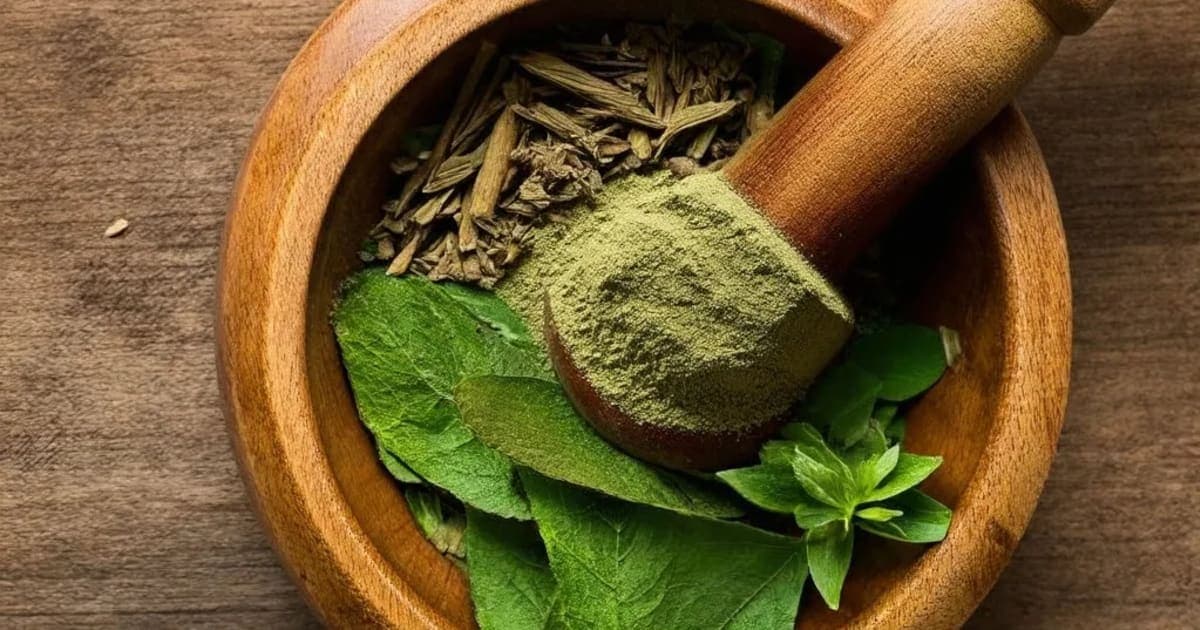 Masura — Ayurvedic Herb